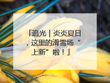 追光｜炎炎夏日，这里的滑雪场“上新”啦！