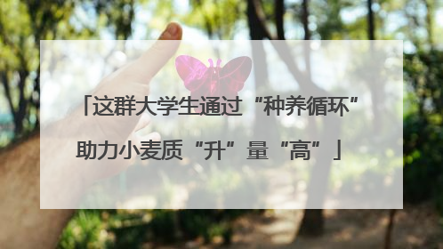 这群大学生通过“种养循环”助力小麦质“升”量“高”