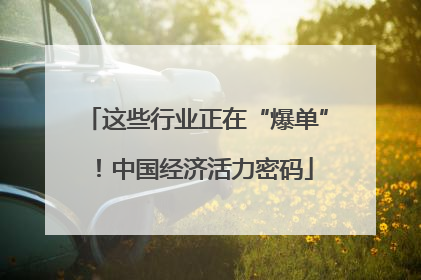 这些行业正在“爆单”！中国经济活力密码