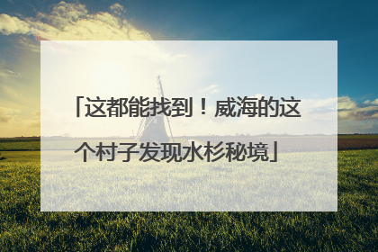 这都能找到！威海的这个村子发现水杉秘境