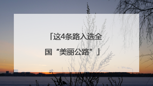这4条路入选全国“美丽公路”