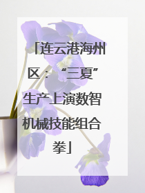 连云港海州区：“三夏”生产上演数智机械技能组合拳