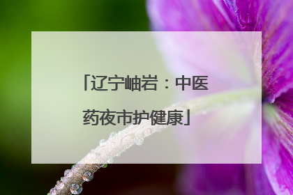 辽宁岫岩：中医药夜市护健康
