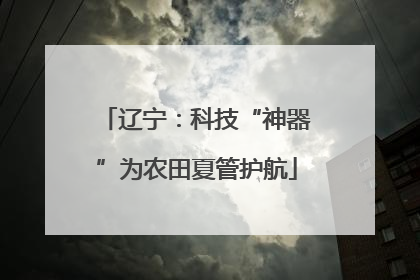 辽宁：科技“神器”为农田夏管护航