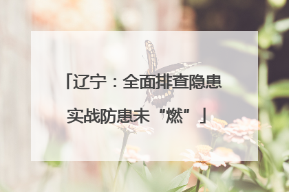 辽宁：全面排查隐患 实战防患未“燃”