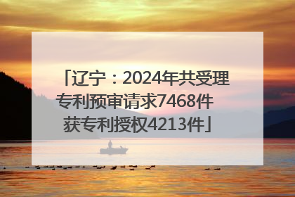 辽宁：2024年共受理专利预审请求7468件 获专利授权4213件
