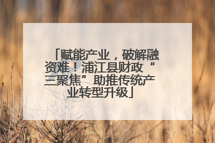 赋能产业，破解融资难！浦江县财政“三聚焦”助推传统产业转型升级