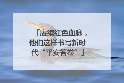 赓续红色血脉，他们这样书写新时代“平安答卷”