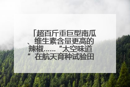 超百斤重巨型南瓜、维生素含量更高的辣椒……“太空味道”在航天育种试验田里拔节生长