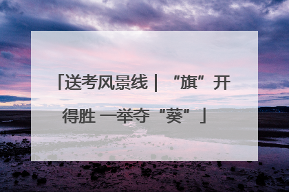 送考风景线｜“旗”开得胜 一举夺“葵”