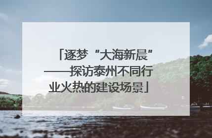 逐梦“大海新晨”——探访泰州不同行业火热的建设场景