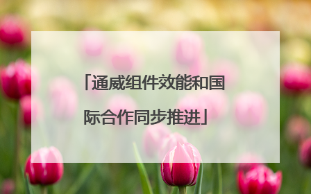 通威组件效能和国际合作同步推进