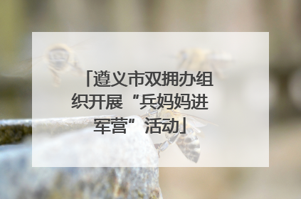 遵义市双拥办组织开展“兵妈妈进军营”活动