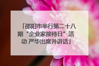 邵阳市举行第二十八期“企业家接待日”活动 严华出席并讲话