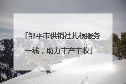邹平市供销社扎根服务一线，助力丰产丰收