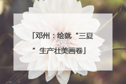 邓州：绘就“三夏”生产壮美画卷