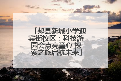 郏县新城小学迎宾街校区：科技游园会点亮童心 探索之旅启航未来