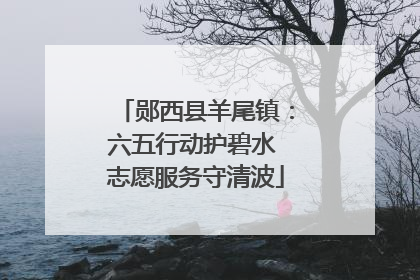 郧西县羊尾镇：六五行动护碧水 志愿服务守清波