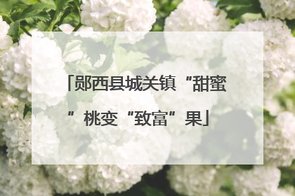 郧西县城关镇“甜蜜”桃变“致富”果