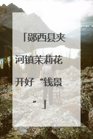 郧西县夹河镇茉莉花开好“钱景”