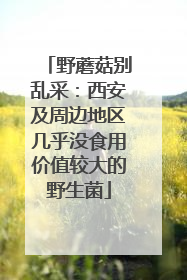 野蘑菇别乱采：西安及周边地区几乎没食用价值较大的野生菌