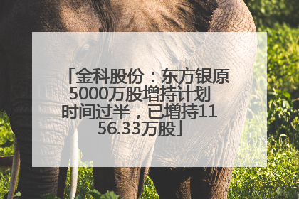 金科股份：东方银原5000万股增持计划时间过半，已增持1156.33万股