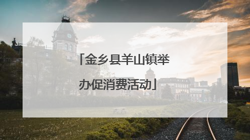 金乡县羊山镇举办促消费活动