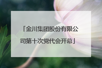 金川集团股份有限公司第十次党代会开幕