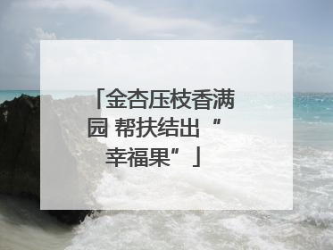 金杏压枝香满园 帮扶结出“幸福果”