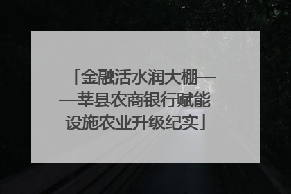 金融活水润大棚——莘县农商银行赋能设施农业升级纪实