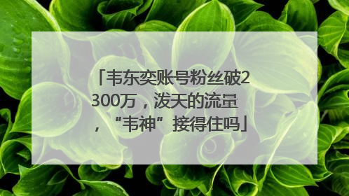 韦东奕账号粉丝破2300万，泼天的流量，“韦神”接得住吗