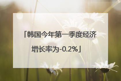 韩国今年第一季度经济增长率为-0.2%