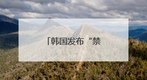 韩国发布“禁枪令”加强总统选举期间安保