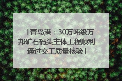 青岛港：30万吨级万邦矿石码头主体工程顺利通过交工质量核验