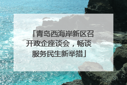 青岛西海岸新区召开政企座谈会，畅谈服务民生新举措