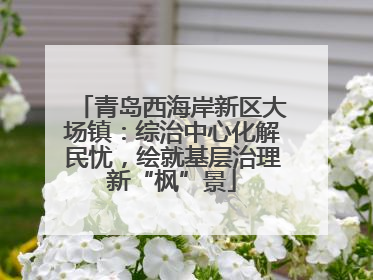 青岛西海岸新区大场镇：综治中心化解民忧，绘就基层治理新“枫”景