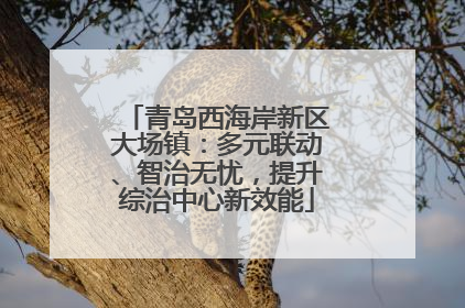 青岛西海岸新区大场镇：多元联动、智治无忧，提升综治中心新效能