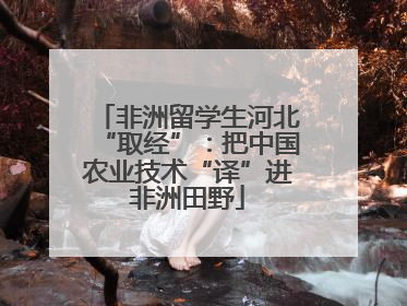 非洲留学生河北“取经”：把中国农业技术“译”进非洲田野