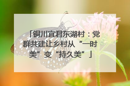 铜川宜君东湖村：党群共建让乡村从“一时美”变“持久美”
