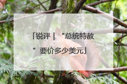 锐评｜“总统特赦”要价多少美元