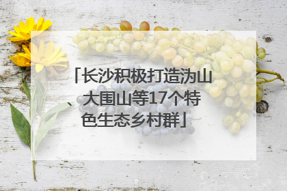 长沙积极打造沩山、大围山等17个特色生态乡村群