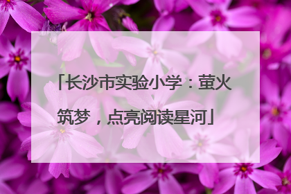 长沙市实验小学：萤火筑梦，点亮阅读星河