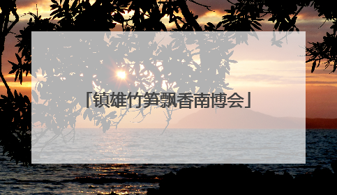 镇雄竹笋飘香南博会