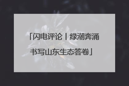 闪电评论丨绿潮奔涌 书写山东生态答卷