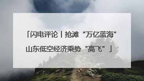 闪电评论丨抢滩“万亿蓝海” 山东低空经济乘势“高飞”