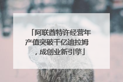 阿联酋特许经营年产值突破千亿迪拉姆，成创业新引擎