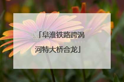 阜淮铁路跨涡河特大桥合龙