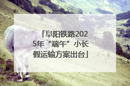 阜阳铁路2025年“端午”小长假运输方案出台