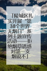 陵城区扎实开展“第38个世界无烟日”系列主题宣传活动——拒绝烟草诱惑 对第一支烟说不