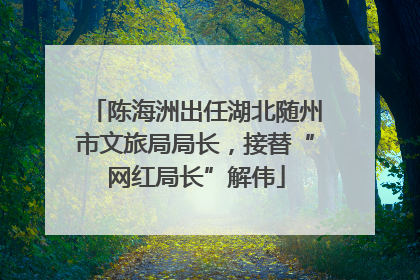 陈海洲出任湖北随州市文旅局局长，接替“网红局长”解伟